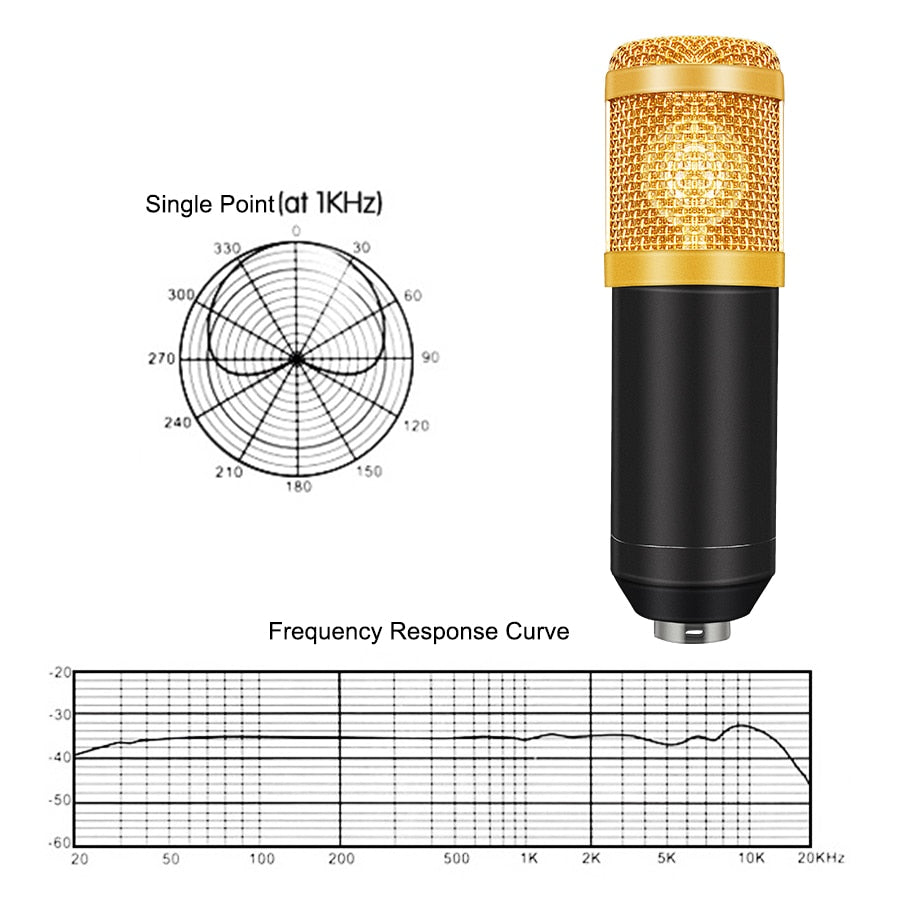 TrendTap Professional Recording Microphone Set
