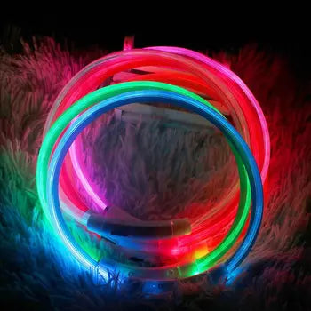 LED pet collar flashing modes