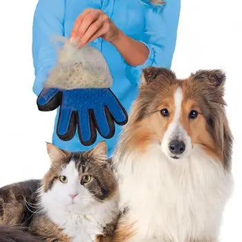 Grooming glove used on a dog coat