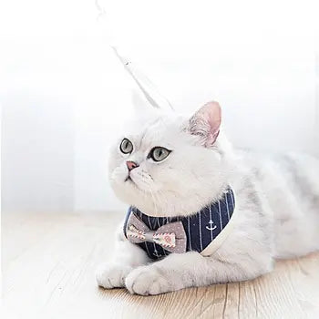Mesh pet harness fit and closures