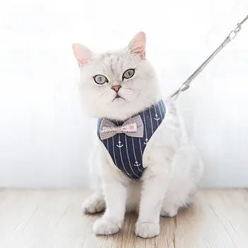 Breathable mesh pet leash and harness set