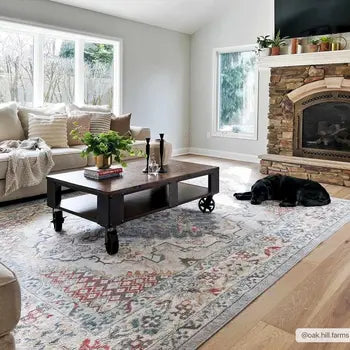 Haymond area rug in a living space