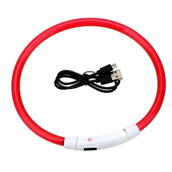 Illuminated rechargeable pet collar in low light