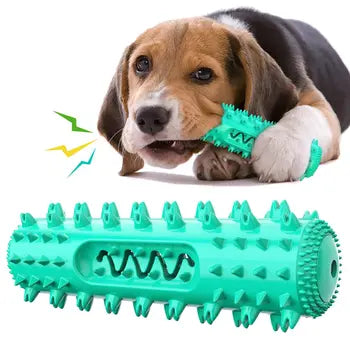 Interactive dog toothbrush and teething toy