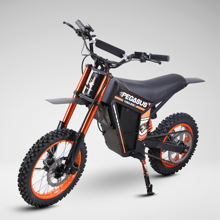 TrendTap Pegasus 48V electric dirt bike